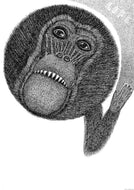 LIFE 2002_Monkey