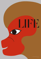 LIFE 2015_B