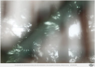 OFS_TREE
